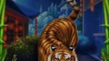 Tiger Fortune