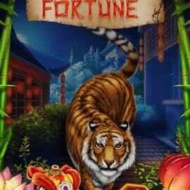 Tiger Fortune