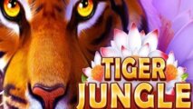 Tiger Jungle