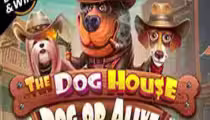 The Dog House — Dog or Alive