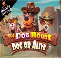 The Dog House — Dog or Alive