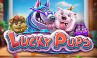 Lucky Pups