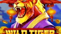 Wild Tiger