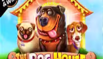 The Dog House Megaways