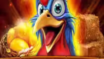 Rooster Mayhem