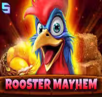 Rooster Mayhem