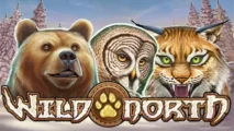 Wild North