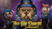 The Big Dawgs