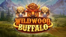 Wild West Buffalo