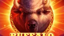 Buffalo: Cash Pool