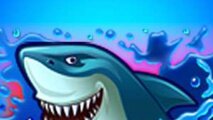 Wild Shark