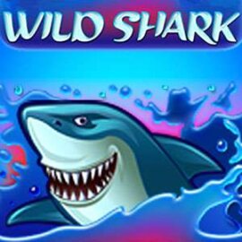 Wild Shark