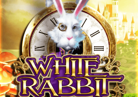 White Rabbit