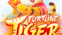 Fortune Tiger