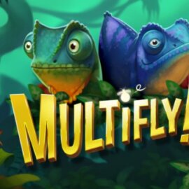 Multifly