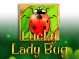 Lucky Lady Bug