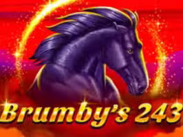 Brumby’s 243
