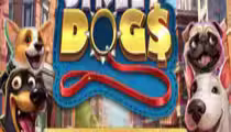 Street Dogs — Hold & Win