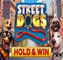 Street Dogs — Hold & Win