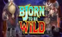 Bjorn to be Wild
