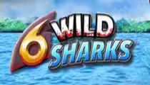 6 Wild Sharks