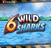 6 Wild Sharks