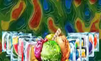 1000 Ice Cream