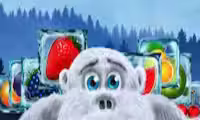 40 Big Foot