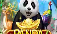 Panda Paradice