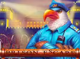 Prison Escape