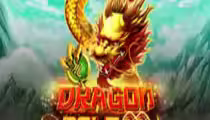 Dragon Gold 88