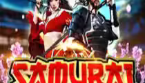 Samurai Code