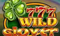 Wild Clover
