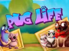 Pug Life