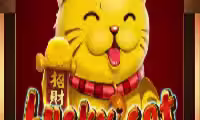 Lucky Cat