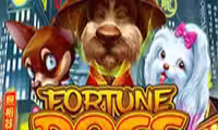 Fortune Dogs