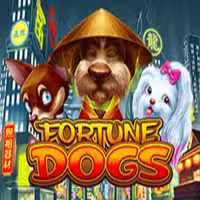 Fortune Dogs
