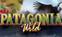 Patagonia Wild