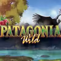 Patagonia Wild