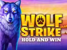 Wolf Strike 94