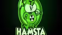 Hamsta