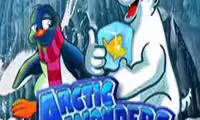 Artic Wonders