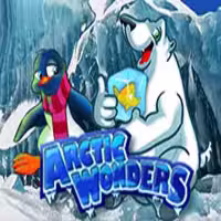 Artic Wonders