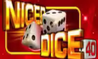 Nicer Dice 40