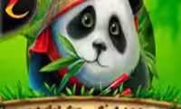 Little Panda