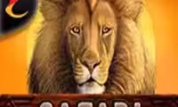 Safari