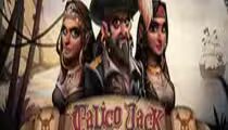 Calico Jack
