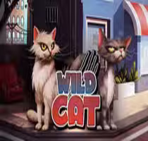 Wild Cat