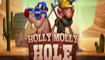 Holly Molly Hole