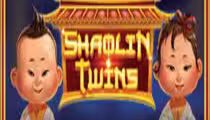 Shaolin Twins